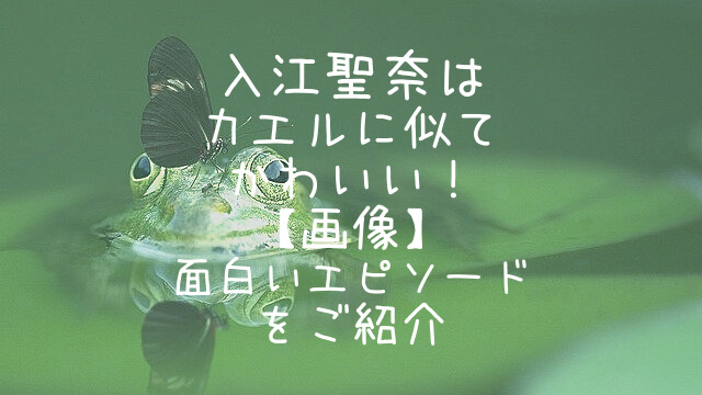 入江聖奈はカエルに似てかわいい 画像 面白いエピソードをご紹介 Snufkin heart 放浪記 入江聖奈はカエルに似てかわいい 画像 面白いエピソードをご紹介 Snufkin heart 放浪記