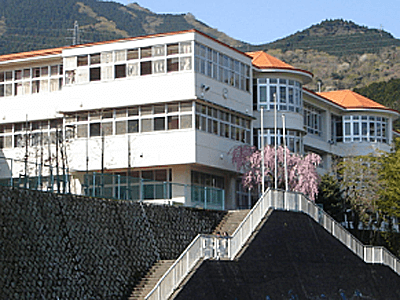 鈴木芽吹,出身,中学,高校,駒沢大,熱海の貴公子