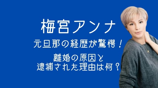 梅宮アンナ,元旦那,経歴,離婚理由,逮捕