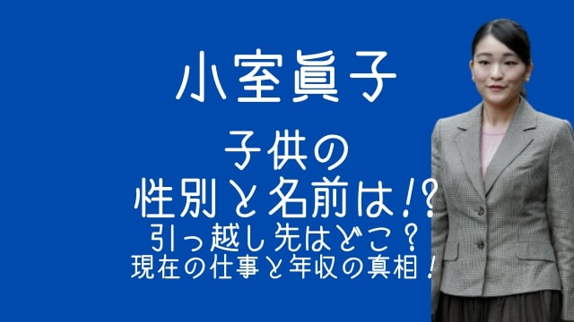 小室眞子,子供,性別,名前,引っ越し先,現在,仕事,年収