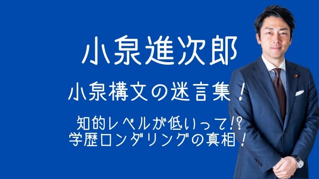小泉進次郎,構文,迷言集,知的レベル,学歴ロンダリング