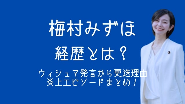 梅村みずほ,経歴,ウィシュマ発言,更迭,炎上