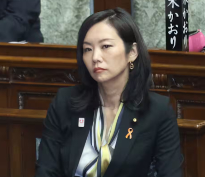 梅村みずほ,離党理由,予備選,ガバナンス不全,参政党
