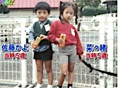 佐藤かよ,現在,整形,昔,結婚,菜々緒