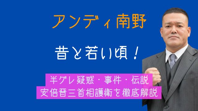 アンディ南野,昔,若い頃,半グレ,事件,伝説,安倍晋三首相