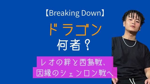 ブレイキングダウン,ドラゴン,何者,レオ,西島恭平,シェンロン