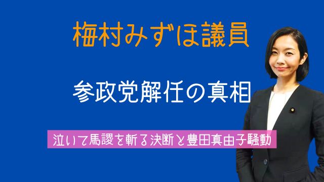 梅村みずほ,参政党,解任,泣いて馬謖を斬る,豊田真由子,今後