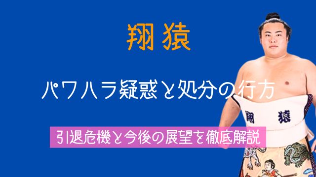 翔猿,パワハラ,処分,付き人,引退,今後