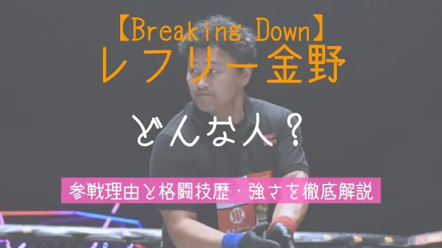 レフリー金野,何者,ブレイキングダウン,格闘技,強さ