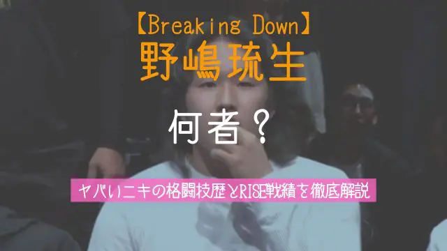 野嶋琉生,何者,ヤバいニキ,父親,格闘技歴,RISE,戦績