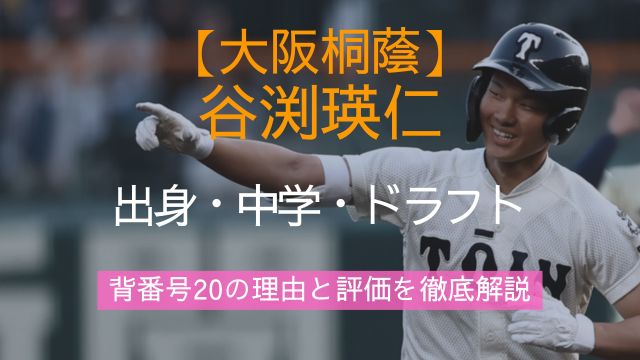 大阪桐蔭,谷渕瑛仁,出身,中学,背番号20,ドラフト,評価