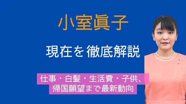 小室眞子,現在,仕事,白髪,生活費,子供,帰国願望,最新
