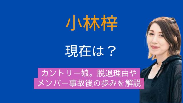 小林梓,現在,カントリー娘。,脱退理由,メンバー,事故